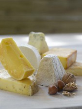 rsz_cheese_image_-_giveaways