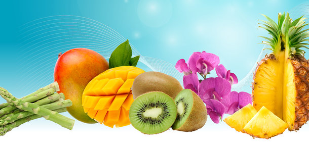 Global heavyweights at PMA Fresh Connections