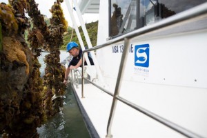 seafood_industry-checkingpct20musselpct20lines