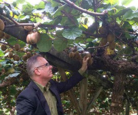 BioGro CEO Donald Nordeng at work.