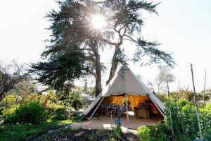 rsz_1nzln-stoneleigh_wild_valley_wonder_of_nature