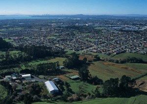 The Babich vineyard in Auckland.