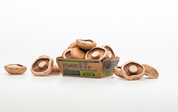 Profile: Meadow Mushrooms
