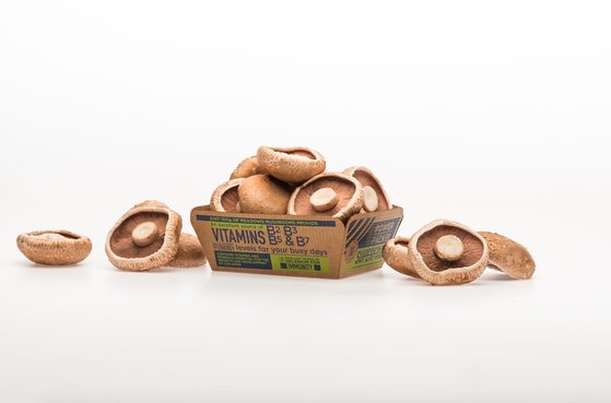 Innovative packaging launch