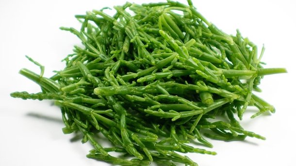 UK: Foodies create soaring demand for samphire