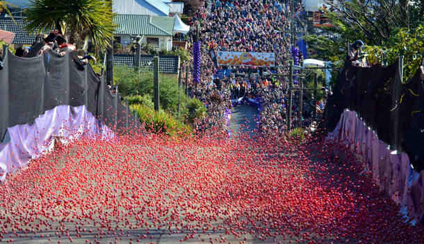 The Cadbury Carnival is calling