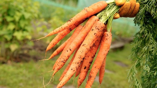 UK: Demand for organics rising