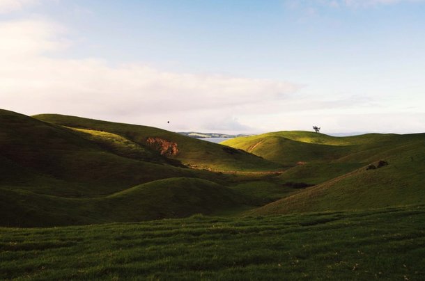 Dole helps Motutapu overcome weather damage