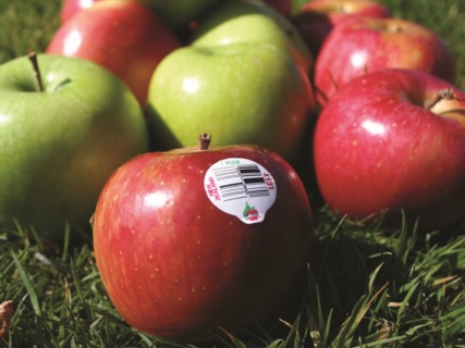 DataBar’s move into the produce industry