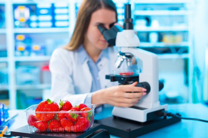 Entries welcome for Food Safety Awards
