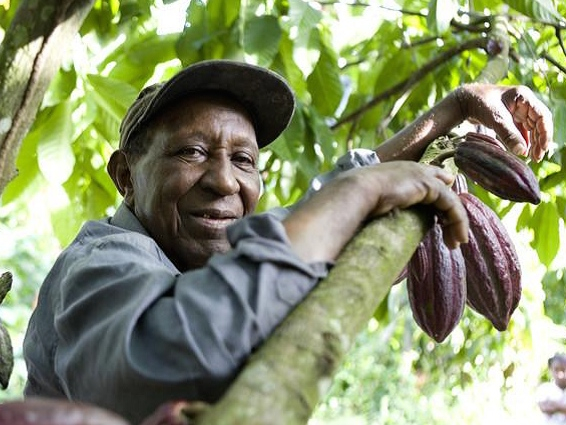 Support Fairtrade Fortnight