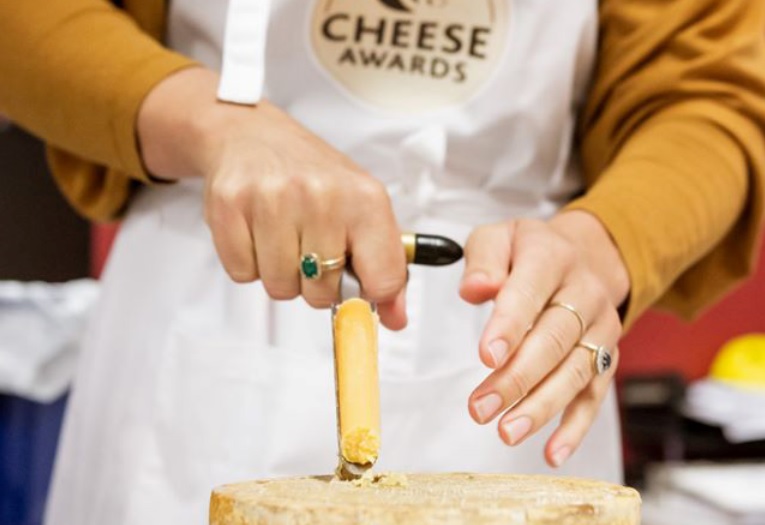 NZ Champions of Cheese