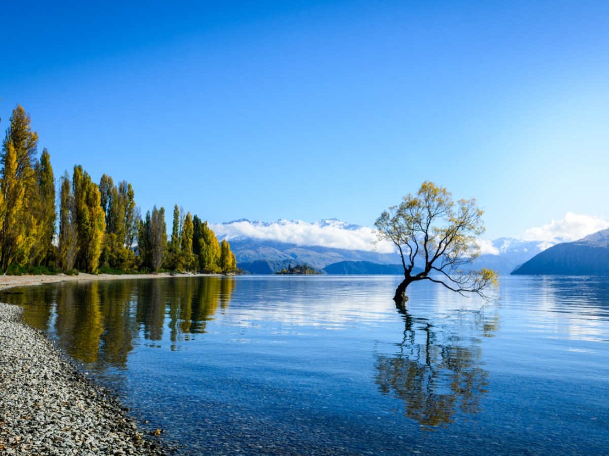 New Metro supermarket for Wanaka