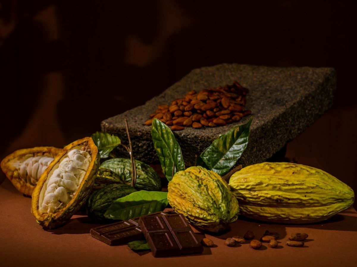 Who makes the best vegan chocolates?