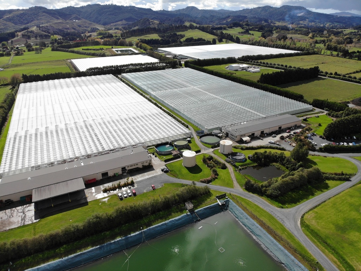 <strong>MG boosts hothouse capability with quality acquisition</strong>