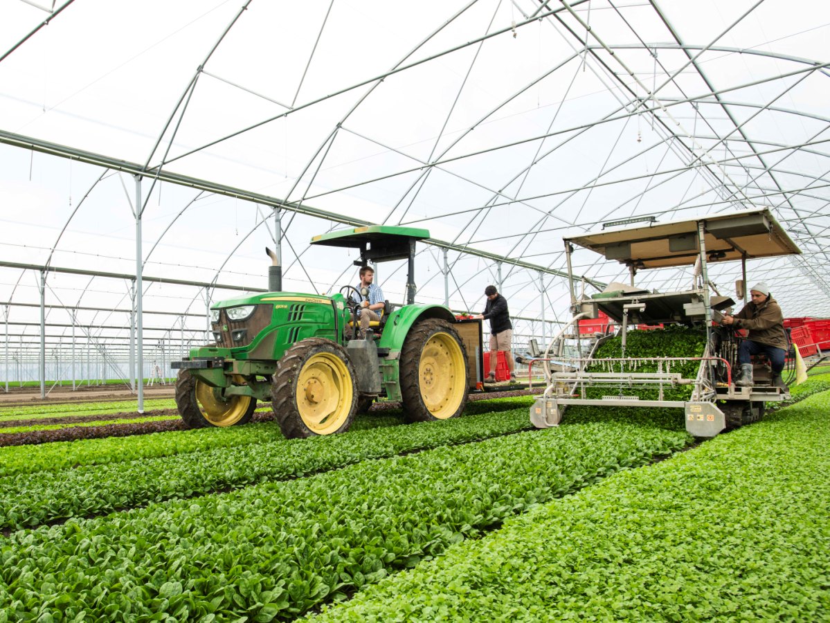 Support package for growers, farmers and businesses affected by weather events