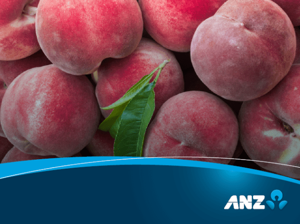 ANZ Insights Paper: Future-proof for success