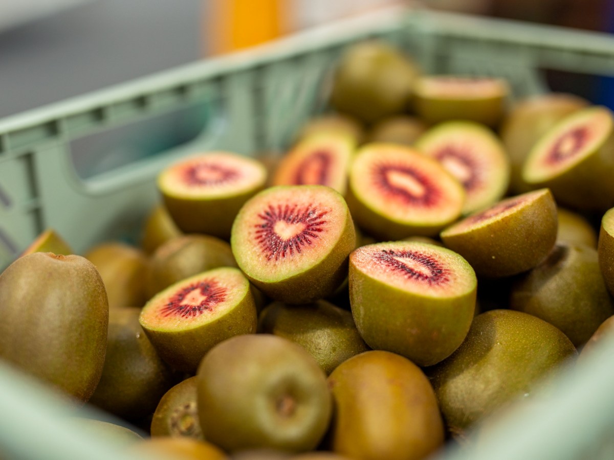 Green light for red kiwifruit