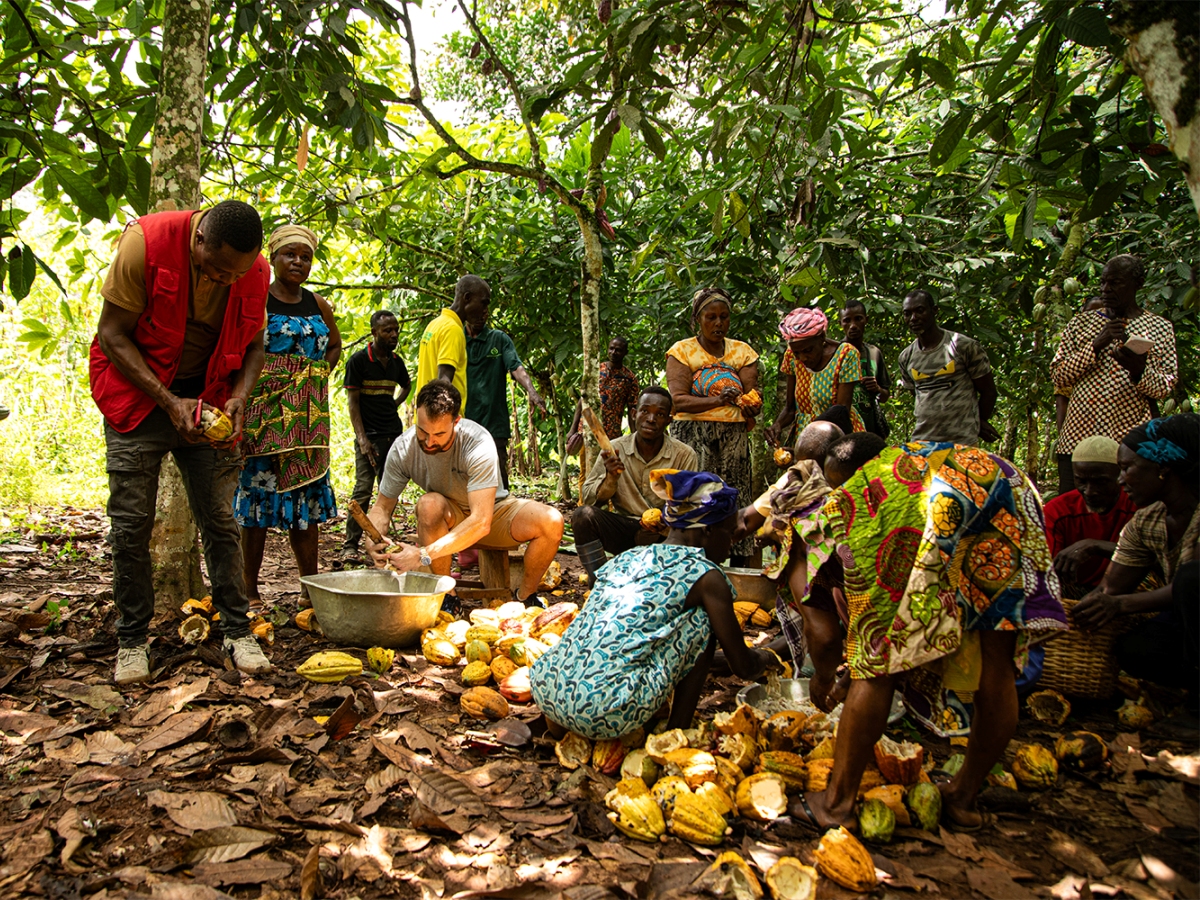 Whittaker’s reaches ethical sourcing milestone