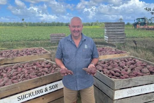 General Manager of Delta Produce, Locky Wilson with new season Kumara